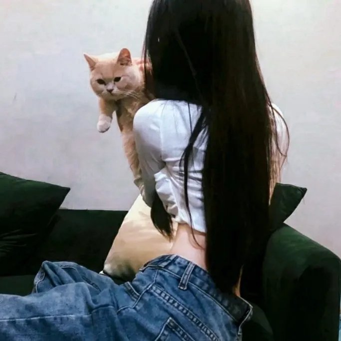 修女也疯狂2